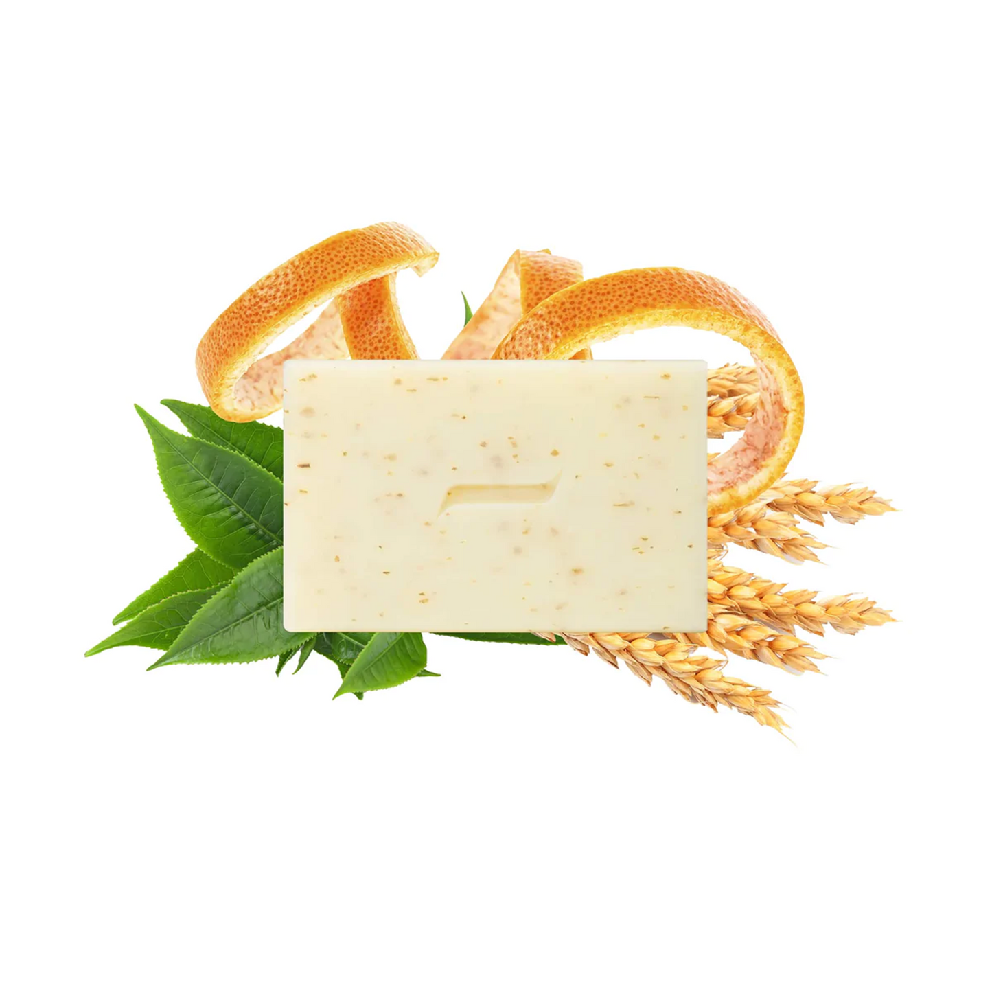 Body Scrub Soap