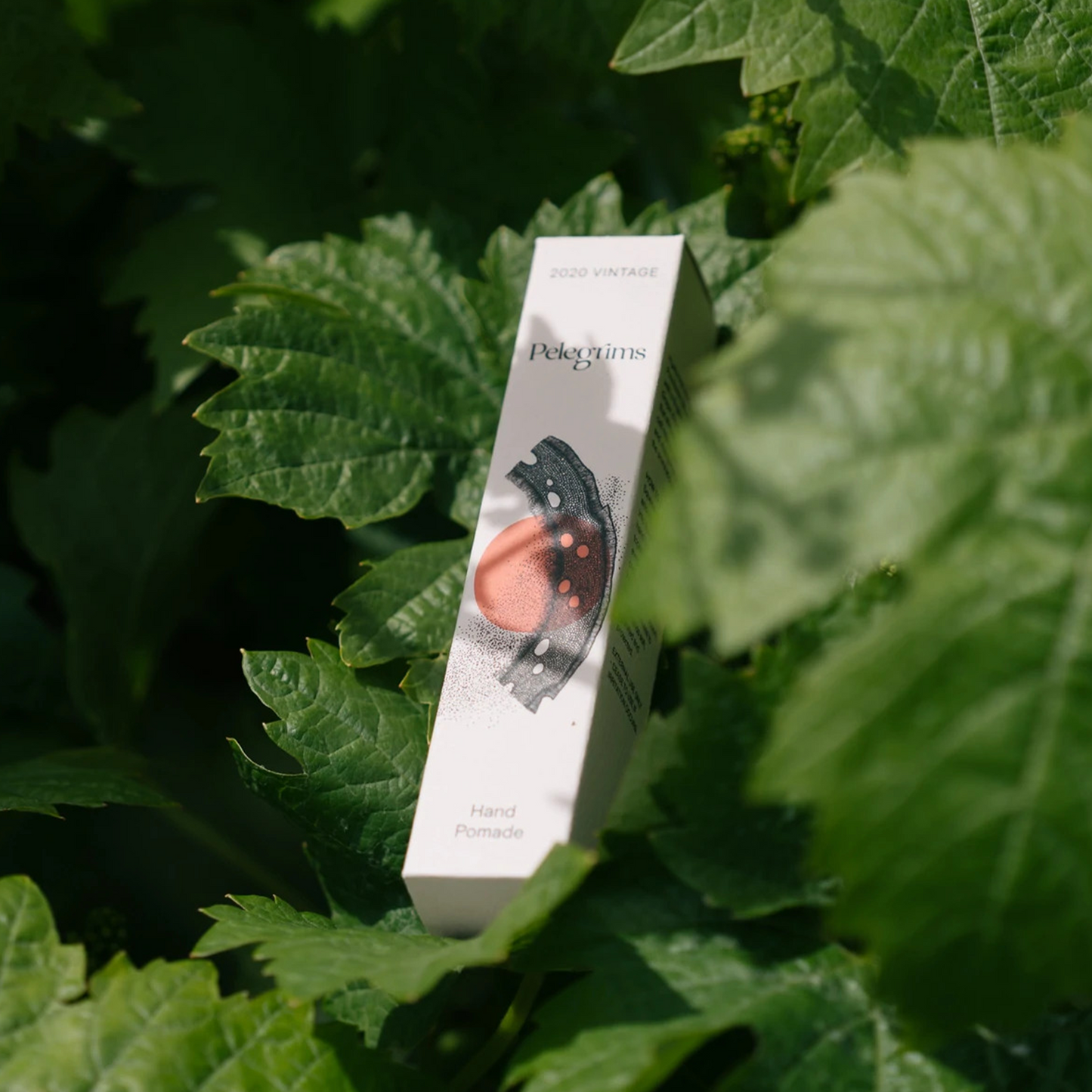 Pelegrims Hand Pomade: Intense hydration and rejuvenation for tired hands and cuticles. With Hyaluronic Acid, Provitamin B5 and our signature English Ortega Grape Extract. Hyaluronic Acid and Provitamin B5 work with a English Ortega Grape Vine Extract that stimulates skin cell regeneration and visibly improves the skin's appearance. Scented with Rosemary Leaf, Fig and Amber.