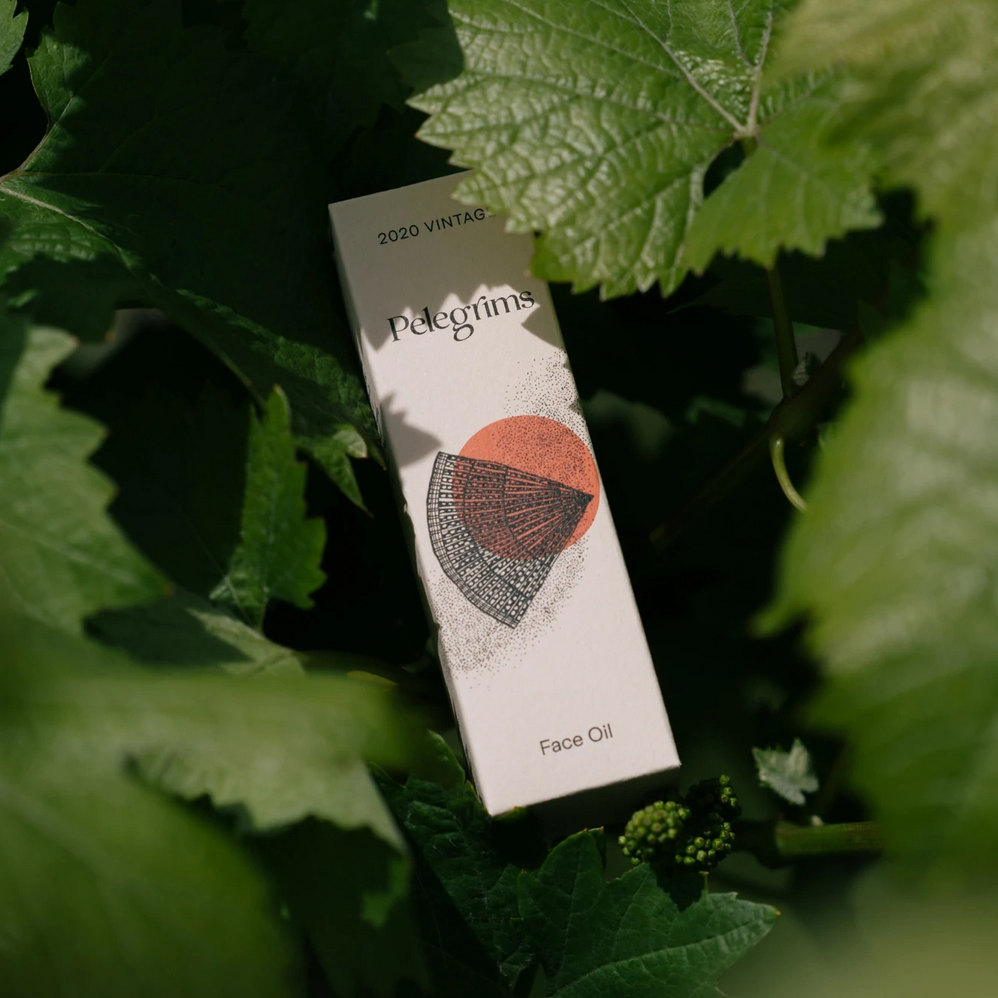 Pelegrims Hyaluronic Plump Facial Oil: Fast acting, fast absorbing facial oil with Polyphenols from our Pinot Noir Grape Extract blended with four highly potent seed oils. They contain vitamins, some UV protection and cell renewing properties that work quickly to reduce redness and give the skin a healthy glow. Subtly scented with Fig, Grass and Rose.